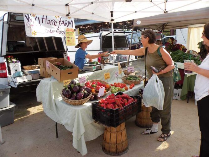 Carrboro, North Carolina: The ‘Paris of the Piedmont’